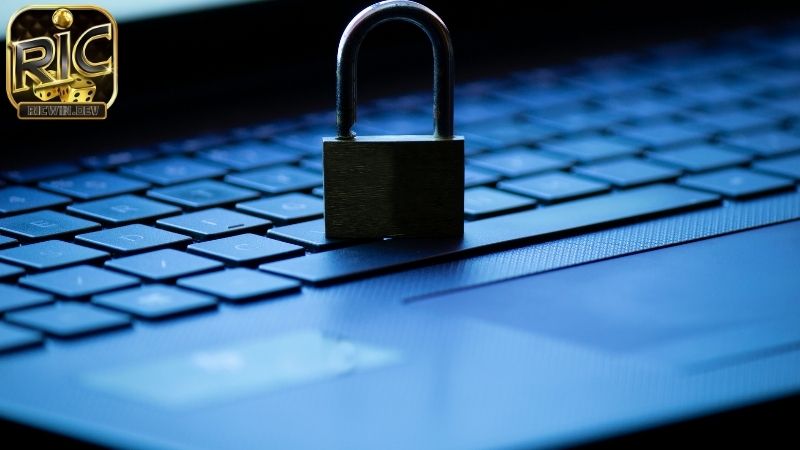 chính sách bảo mật ricwin