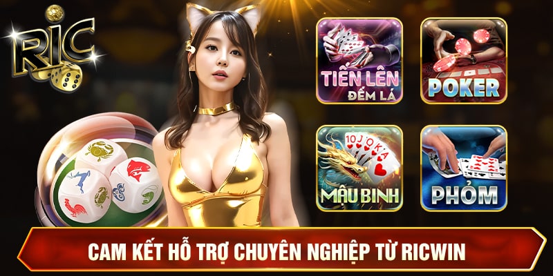 Cam kết hỗ trợ chuyên nghiệp từ Ricwin